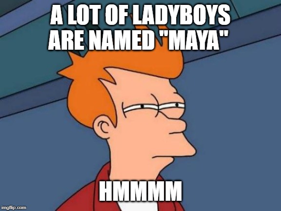Futurama Fry Meme | A LOT OF LADYBOYS ARE NAMED "MAYA" HMMMM | image tagged in memes,futurama fry | made w/ Imgflip meme maker