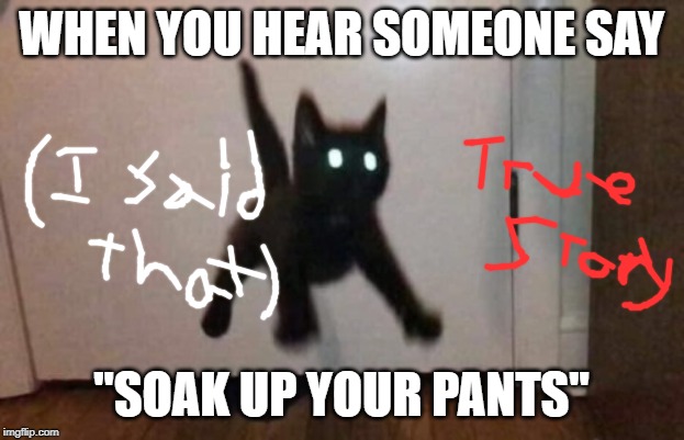 Evil Cat | WHEN YOU HEAR SOMEONE SAY; "SOAK UP YOUR PANTS" | image tagged in evil cat,true story,my face when,cats | made w/ Imgflip meme maker