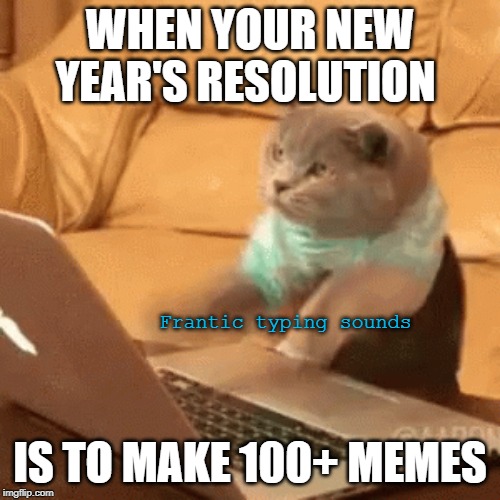 Cat typing frantically | WHEN YOUR NEW YEAR'S RESOLUTION; Frantic typing sounds; IS TO MAKE 100+ MEMES | image tagged in cat typing frantically,cats,new year resolutions,memes | made w/ Imgflip meme maker