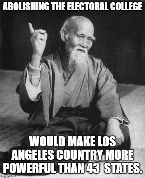 electoral college is needed to give the smaller states a fair vote, otherwise it is mob rule | ABOLISHING THE ELECTORAL COLLEGE; WOULD MAKE LOS ANGELES COUNTRY MORE POWERFUL THAN 43  STATES. | image tagged in confucius say,electoral college,demomcrats don't like a fair election | made w/ Imgflip meme maker