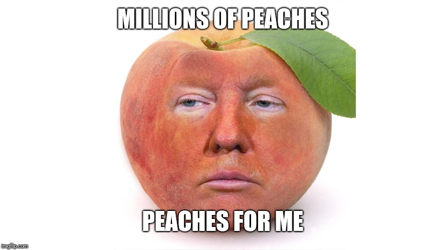 MILLIONS OF PEACHES; PEACHES FOR ME | image tagged in impeachment,donald trump,impeach trump,peach | made w/ Imgflip meme maker