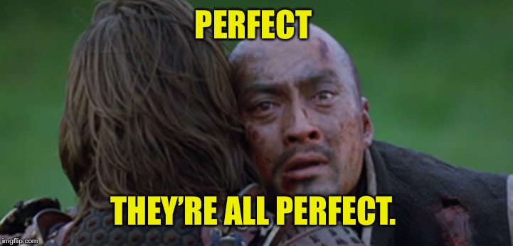 PERFECT; THEY’RE ALL PERFECT. | made w/ Imgflip meme maker