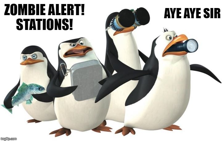 penquines | ZOMBIE ALERT!
STATIONS! AYE AYE SIR | image tagged in penquines | made w/ Imgflip meme maker