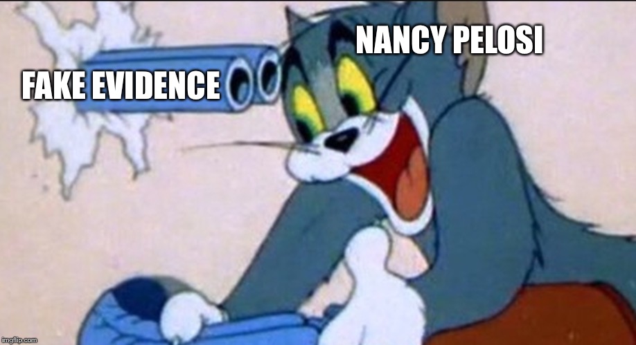 Tom Gun | FAKE EVIDENCE; NANCY PELOSI | image tagged in tom gun | made w/ Imgflip meme maker