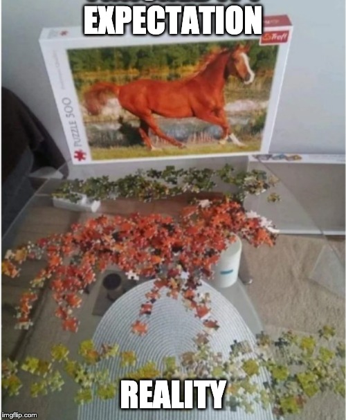 EXPECTATION; REALITY | image tagged in puzzle,horse | made w/ Imgflip meme maker