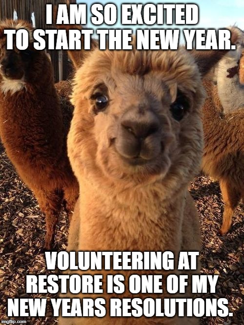 happy alpaca | I AM SO EXCITED TO START THE NEW YEAR. VOLUNTEERING AT RESTORE IS ONE OF MY NEW YEARS RESOLUTIONS. | image tagged in happy alpaca | made w/ Imgflip meme maker