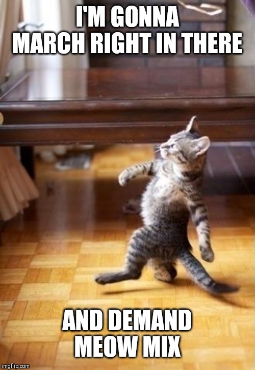 Cool Cat Stroll | I'M GONNA MARCH RIGHT IN THERE; AND DEMAND MEOW MIX | image tagged in memes,cool cat stroll | made w/ Imgflip meme maker