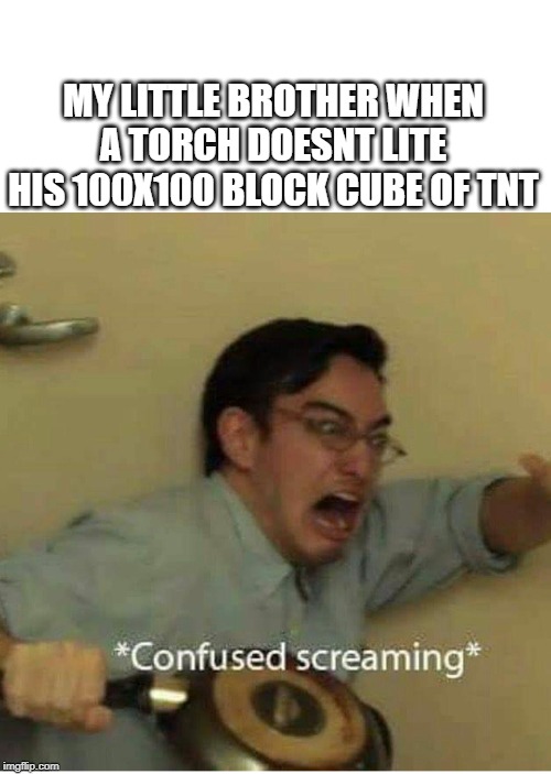 confused screaming | MY LITTLE BROTHER WHEN A TORCH DOESNT LITE HIS 100X100 BLOCK CUBE OF TNT | image tagged in confused screaming | made w/ Imgflip meme maker
