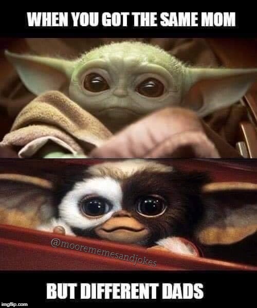 same mom differnt dads: yoda, gizmo | image tagged in parent,funny because it's true | made w/ Imgflip meme maker