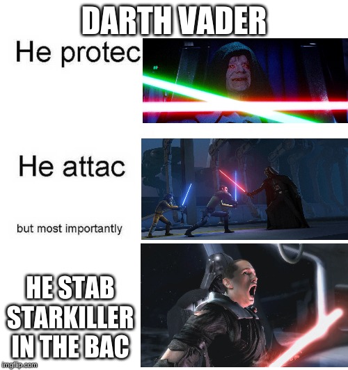 He protec he attac but most importantly | DARTH VADER; HE STAB STARKILLER IN THE BAC | image tagged in he protec he attac but most importantly | made w/ Imgflip meme maker