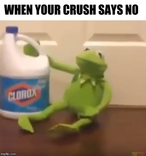 Kermit Suicide | WHEN YOUR CRUSH SAYS NO | image tagged in kermit suicide | made w/ Imgflip meme maker
