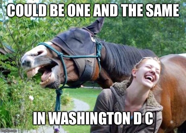 Laughing Horse | COULD BE ONE AND THE SAME IN WASHINGTON D C | image tagged in laughing horse | made w/ Imgflip meme maker