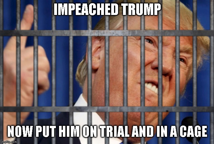 It's Karma | IMPEACHED TRUMP; NOW PUT HIM ON TRIAL AND IN A CAGE | image tagged in trump impeachment,criminal,conman,corrupt,liar,senate trial | made w/ Imgflip meme maker