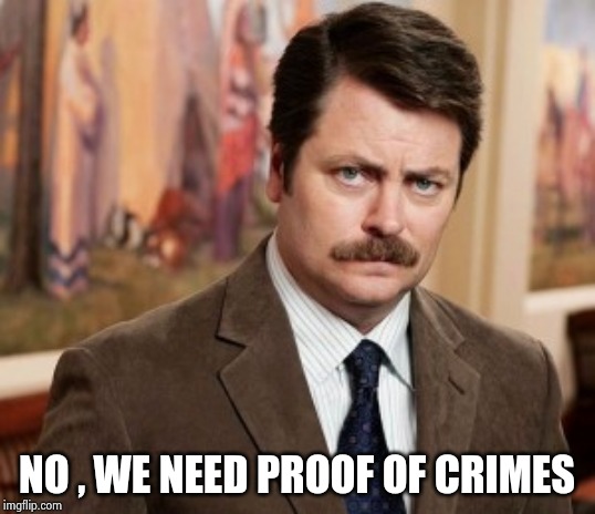 Ron Swanson Meme | NO , WE NEED PROOF OF CRIMES | image tagged in memes,ron swanson | made w/ Imgflip meme maker