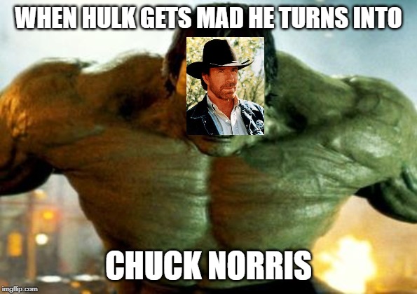 hulk | WHEN HULK GETS MAD HE TURNS INTO; CHUCK NORRIS | image tagged in hulk | made w/ Imgflip meme maker