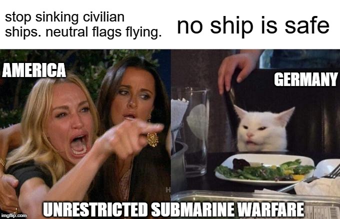 Woman Yelling At Cat | stop sinking civilian ships. neutral flags flying. no ship is safe; AMERICA; GERMANY; UNRESTRICTED SUBMARINE WARFARE | image tagged in memes,woman yelling at cat | made w/ Imgflip meme maker
