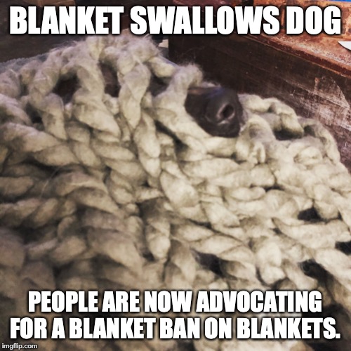 Dog under blanket | BLANKET SWALLOWS DOG; PEOPLE ARE NOW ADVOCATING FOR A BLANKET BAN ON BLANKETS. | image tagged in dog under blanket | made w/ Imgflip meme maker