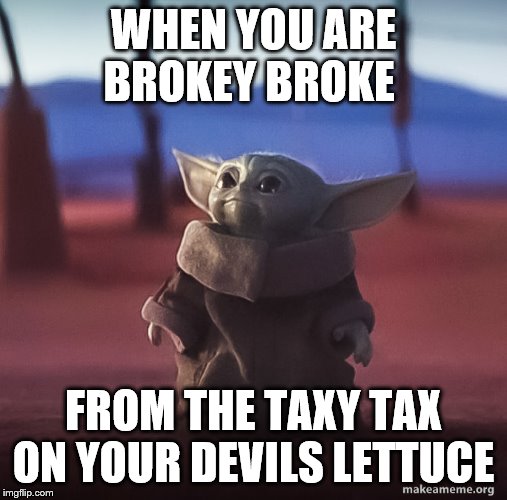 Illinois pot tax | WHEN YOU ARE BROKEY BROKE; FROM THE TAXY TAX ON YOUR DEVILS LETTUCE | image tagged in baby yoda cry | made w/ Imgflip meme maker