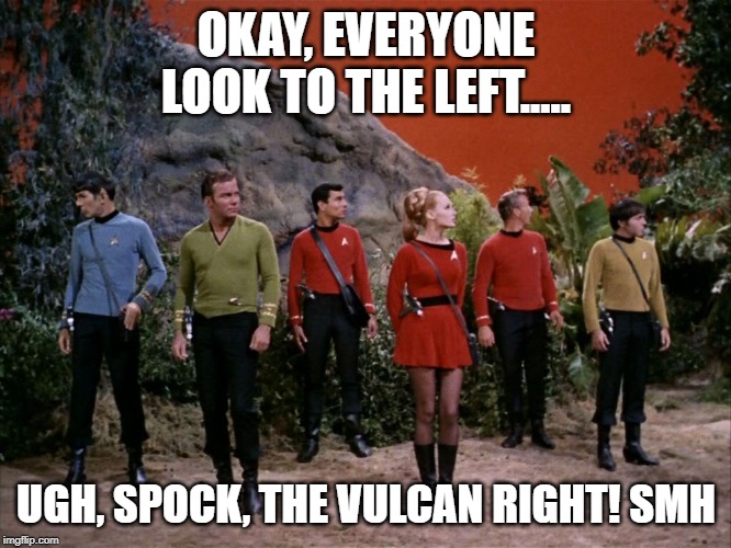 Wrong Way Spock | OKAY, EVERYONE LOOK TO THE LEFT..... UGH, SPOCK, THE VULCAN RIGHT! SMH | image tagged in star trek away team | made w/ Imgflip meme maker