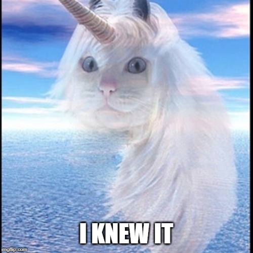 Unicorn cat | I KNEW IT | image tagged in unicorn cat | made w/ Imgflip meme maker