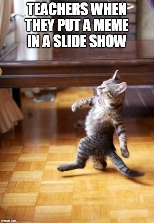 Cool Cat Stroll | TEACHERS WHEN THEY PUT A MEME IN A SLIDE SHOW | image tagged in memes,cool cat stroll | made w/ Imgflip meme maker