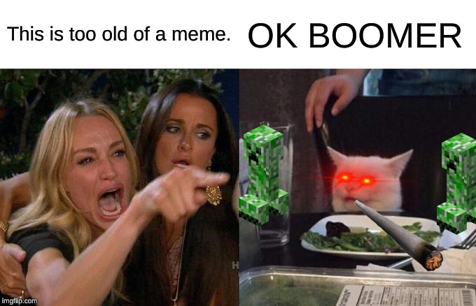 Woman Yelling At Cat | This is too old of a meme. OK BOOMER | image tagged in memes,woman yelling at cat | made w/ Imgflip meme maker