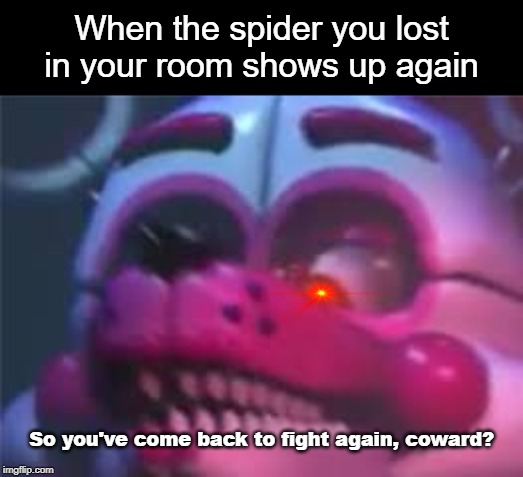 Fnaf | When the spider you lost in your room shows up again; So you've come back to fight again, coward? | image tagged in fnaf | made w/ Imgflip meme maker
