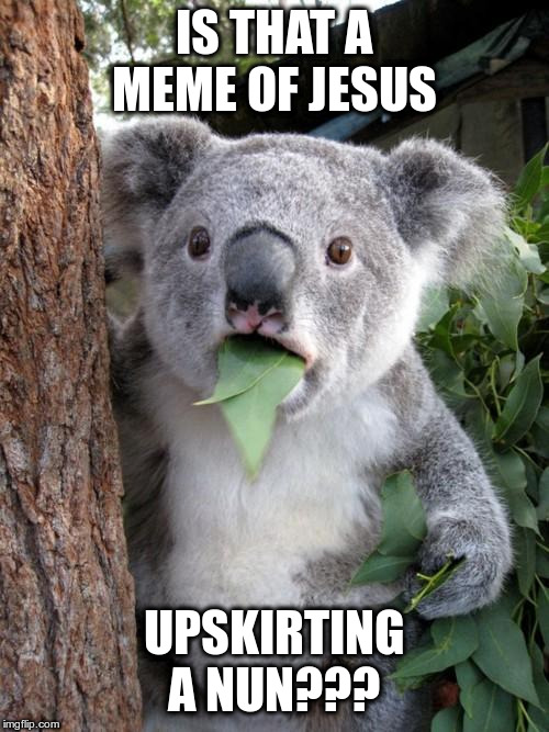 Surprised Koala Meme | IS THAT A MEME OF JESUS UPSKIRTING A NUN??? | image tagged in memes,surprised koala | made w/ Imgflip meme maker