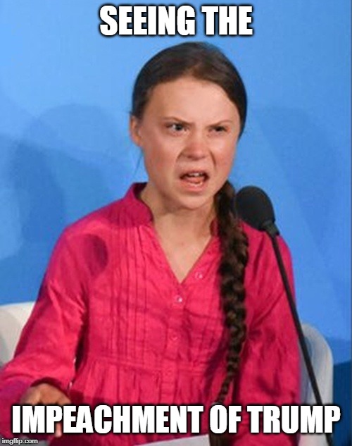 Greta Thunberg how dare you | SEEING THE; IMPEACHMENT OF TRUMP | image tagged in greta thunberg how dare you | made w/ Imgflip meme maker