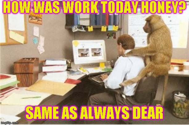 Yep, just another day at work | HOW WAS WORK TODAY HONEY? SAME AS ALWAYS DEAR | image tagged in just a joke | made w/ Imgflip meme maker