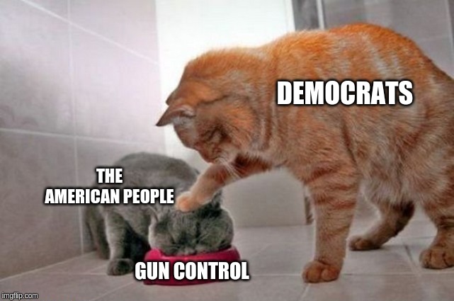 DEMOCRATS GUN CONTROL THE AMERICAN PEOPLE | made w/ Imgflip meme maker