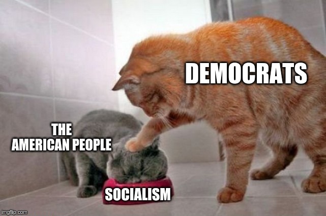 DEMOCRATS SOCIALISM THE AMERICAN PEOPLE | made w/ Imgflip meme maker