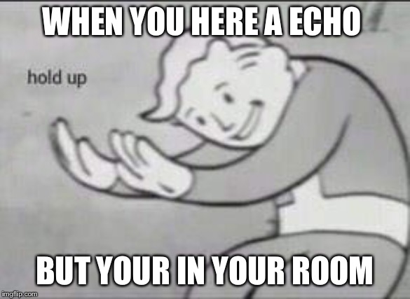 Fallout Hold Up | WHEN YOU HERE A ECHO; BUT YOUR IN YOUR ROOM | image tagged in fallout hold up,creepy,funny,sneeze,jokes,memes | made w/ Imgflip meme maker