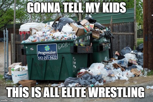 garbage  | GONNA TELL MY KIDS; THIS IS ALL ELITE WRESTLING | image tagged in garbage | made w/ Imgflip meme maker