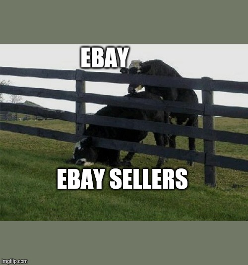 How ebay treats their sellers | EBAY; EBAY SELLERS | image tagged in cow stuck in fence,ebay,ebay sellers | made w/ Imgflip meme maker