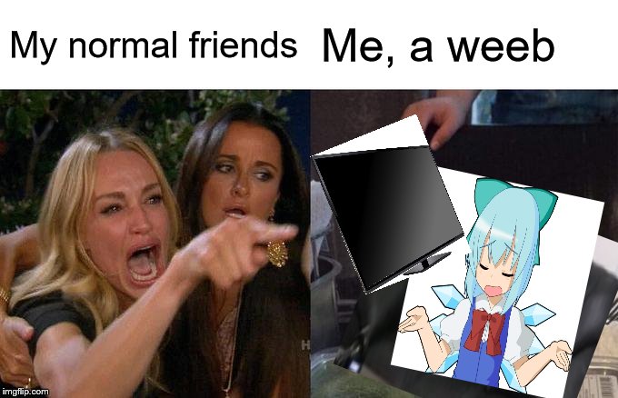 Woman Yelling At Cat Meme | My normal friends; Me, a weeb | image tagged in memes,woman yelling at cat | made w/ Imgflip meme maker