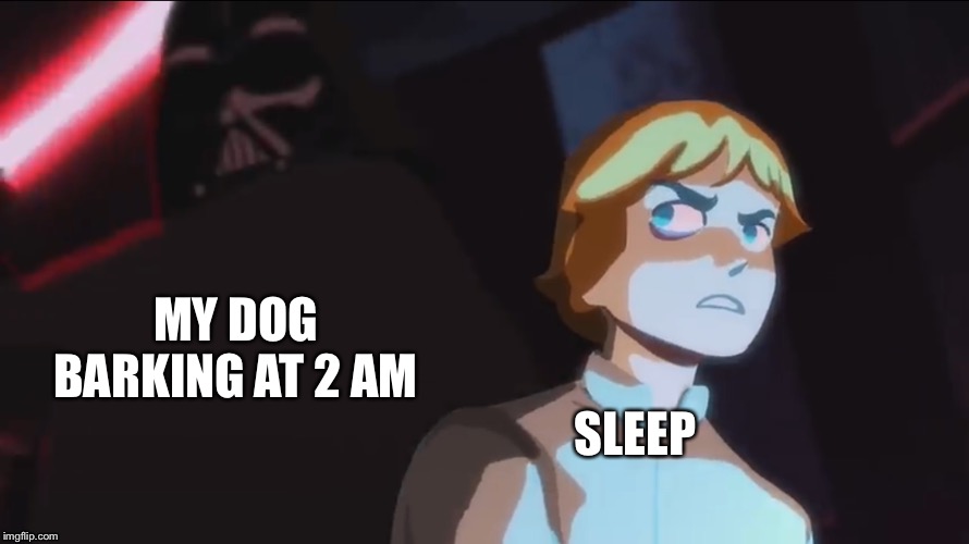Here’s the first meme of this format | MY DOG BARKING AT 2 AM; SLEEP | image tagged in star wars heads up | made w/ Imgflip meme maker