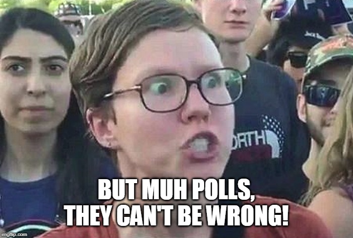 Triggered Liberal | BUT MUH POLLS,
THEY CAN'T BE WRONG! | image tagged in triggered liberal | made w/ Imgflip meme maker