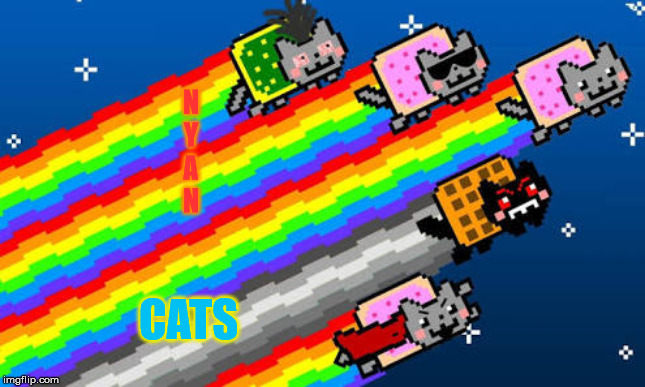 Nyan cat | N
Y
A
N; CATS | image tagged in nyan cat | made w/ Imgflip meme maker