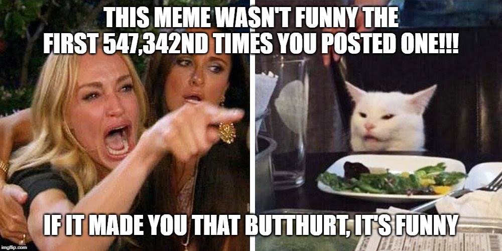 Smudge the cat | THIS MEME WASN'T FUNNY THE FIRST 547,342ND TIMES YOU POSTED ONE!!! IF IT MADE YOU THAT BUTTHURT, IT'S FUNNY | image tagged in smudge the cat | made w/ Imgflip meme maker