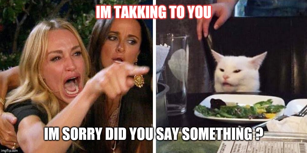 Smudge the cat | IM TAKKING TO YOU; IM SORRY DID YOU SAY SOMETHING ? | image tagged in smudge the cat | made w/ Imgflip meme maker