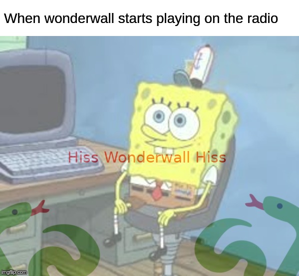 When wonderwall starts playing on the radio | image tagged in wonderwall,snake,spongebob | made w/ Imgflip meme maker