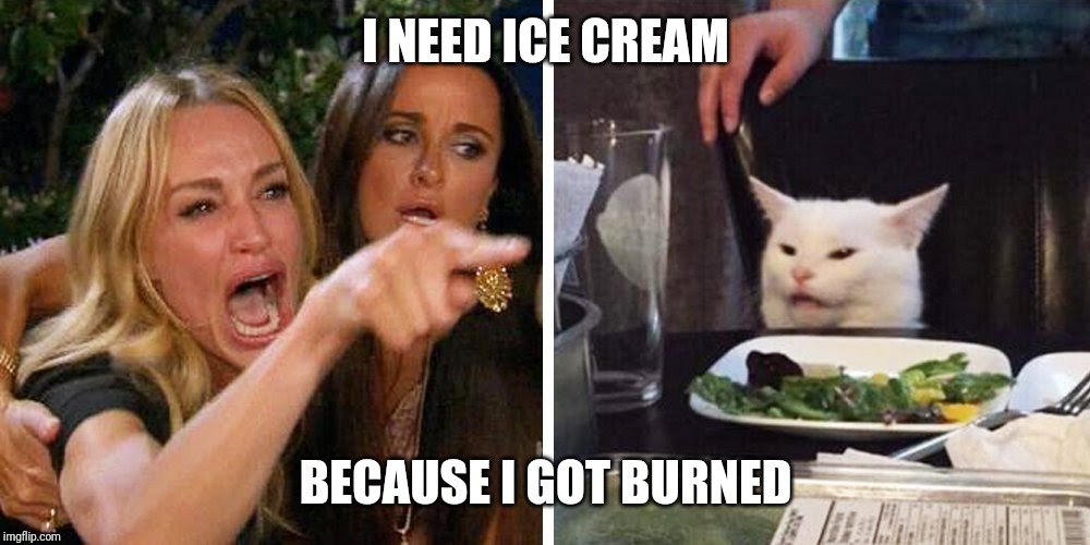 Smudge the cat | I NEED ICE CREAM; BECAUSE I GOT BURNED | image tagged in smudge the cat | made w/ Imgflip meme maker