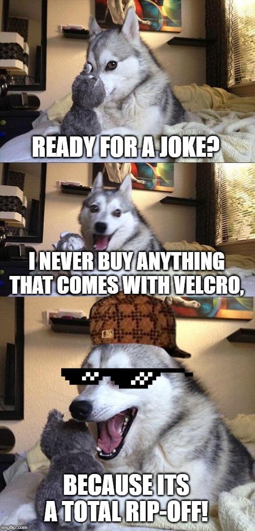 dad joke attack #2 | READY FOR A JOKE? I NEVER BUY ANYTHING THAT COMES WITH VELCRO, BECAUSE ITS A TOTAL RIP-OFF! | image tagged in memes,bad pun dog | made w/ Imgflip meme maker