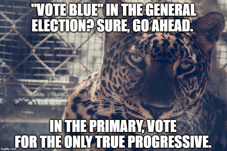 Cynical Cat | "VOTE BLUE" IN THE GENERAL ELECTION? SURE, GO AHEAD. IN THE PRIMARY, VOTE FOR THE ONLY TRUE PROGRESSIVE. | image tagged in cynical cat | made w/ Imgflip meme maker