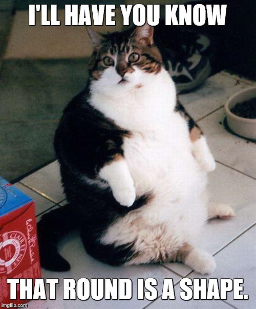 fat cat | I'LL HAVE YOU KNOW THAT ROUND IS A SHAPE. | image tagged in fat cat | made w/ Imgflip meme maker