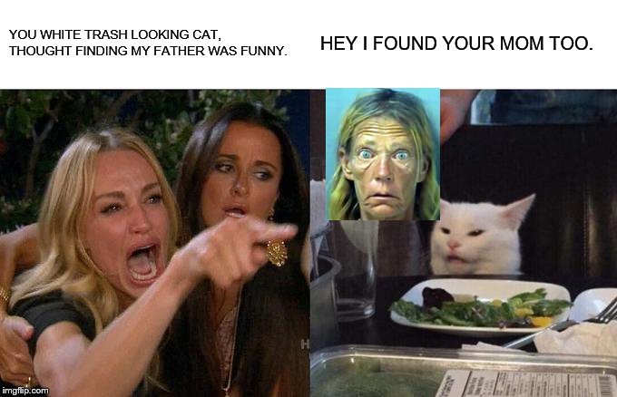 Woman Yelling At Cat Meme | YOU WHITE TRASH LOOKING CAT, THOUGHT FINDING MY FATHER WAS FUNNY. HEY I FOUND YOUR MOM TOO. | image tagged in memes,woman yelling at cat | made w/ Imgflip meme maker