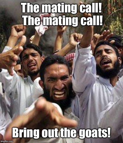 angry muslim | The mating call!  The mating call! Bring out the goats! | image tagged in angry muslim | made w/ Imgflip meme maker