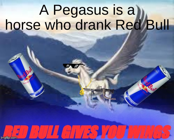 pegasus | A Pegasus is a horse who drank Red Bull; RED BULL GIVES YOU WINGS | image tagged in pegasus | made w/ Imgflip meme maker