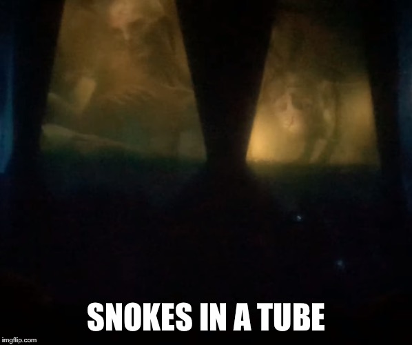 Snoke Clone | SNOKES IN A TUBE | image tagged in snoke,clones,star wars,the rise of skywalker | made w/ Imgflip meme maker